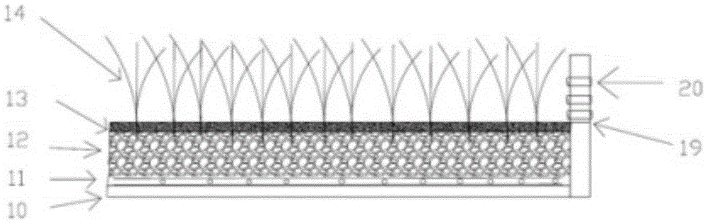 A storage wetland system for treating parking lot rainwater and adjusting microclimate