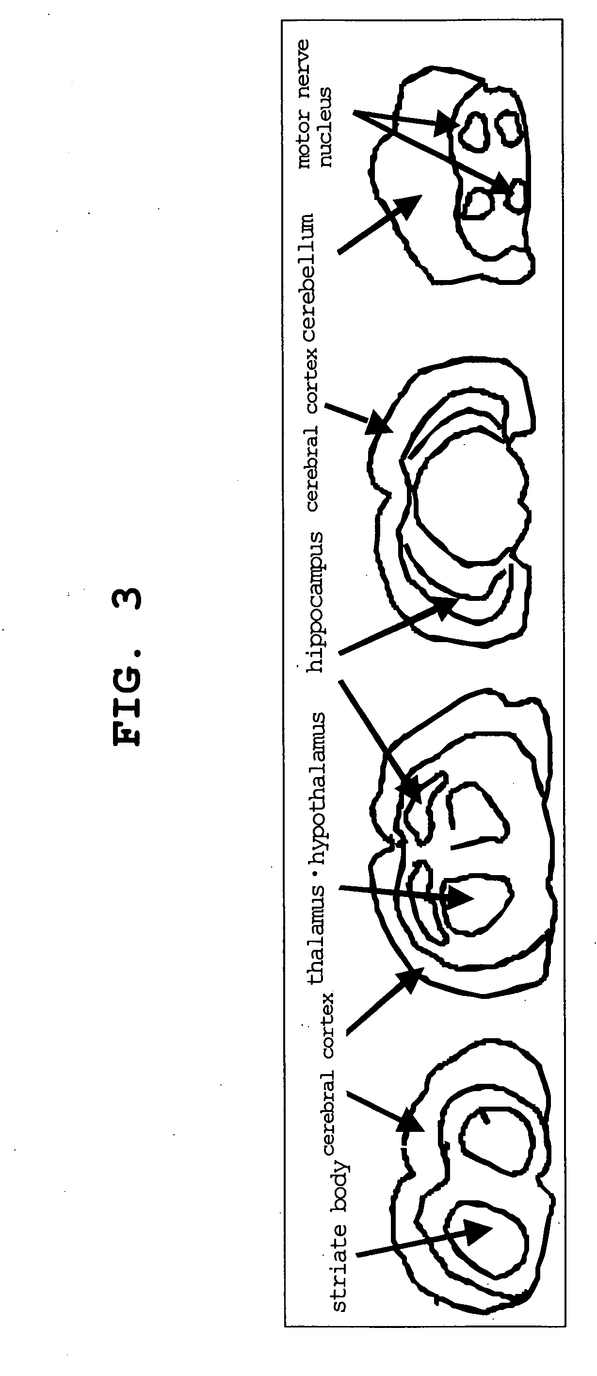 Ligand for Vesicular Acetylcholine Transporter