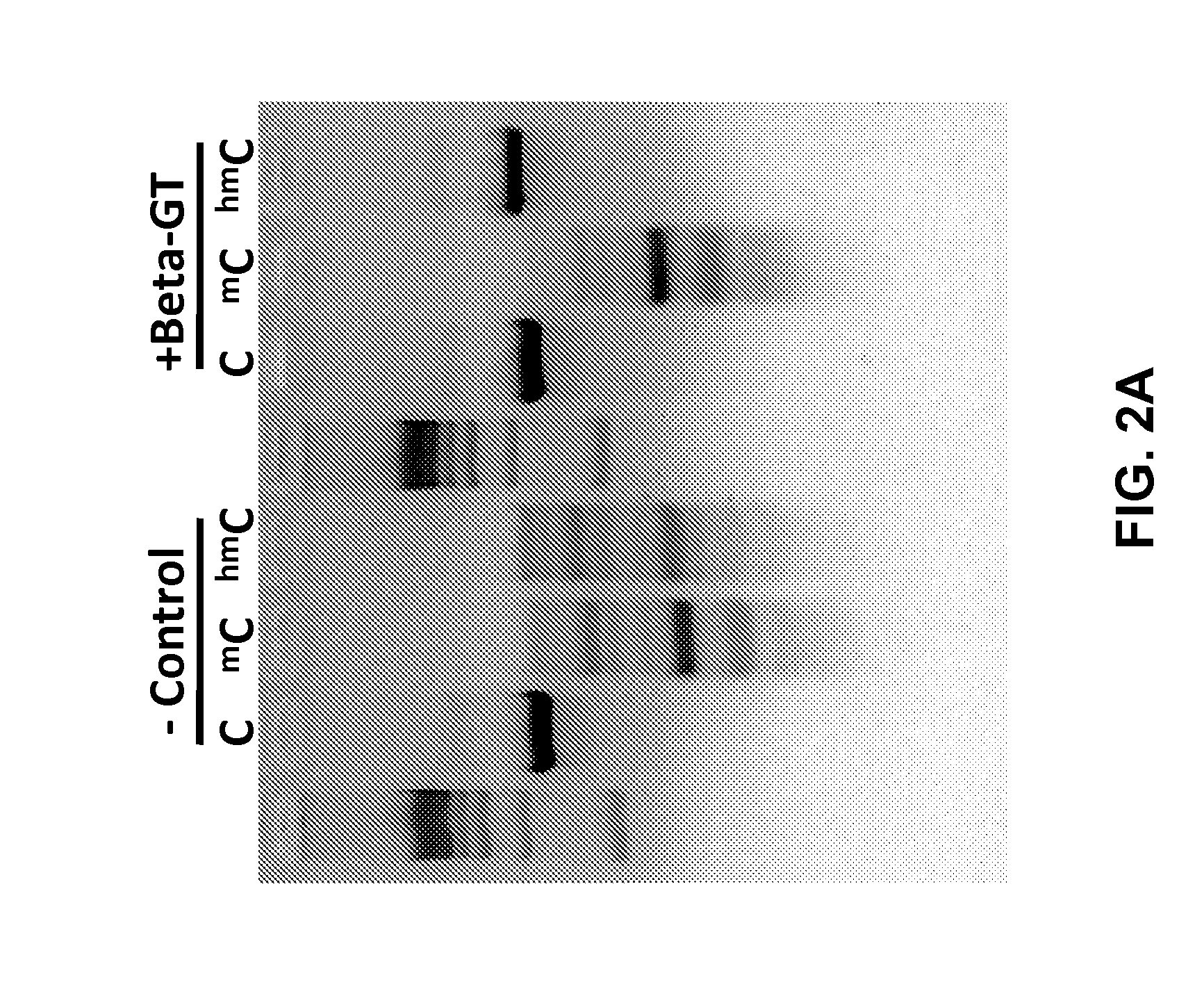 Detection of DNA hydroxymethylation