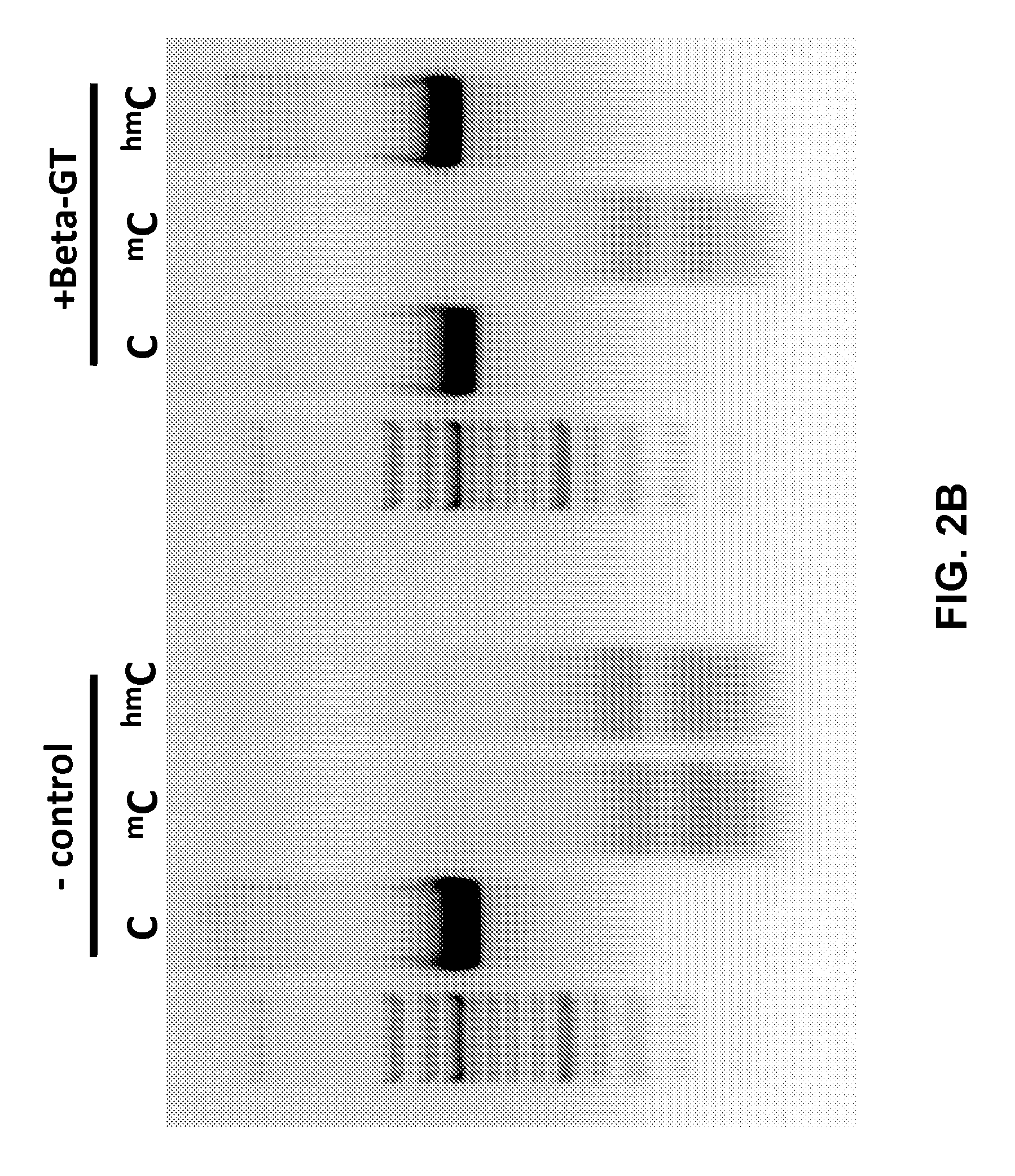 Detection of DNA hydroxymethylation