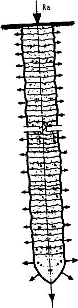 Five in one pre-expansion ecological pile body processing foundation method