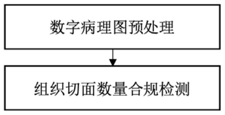 Digital pathological image quality evaluation system