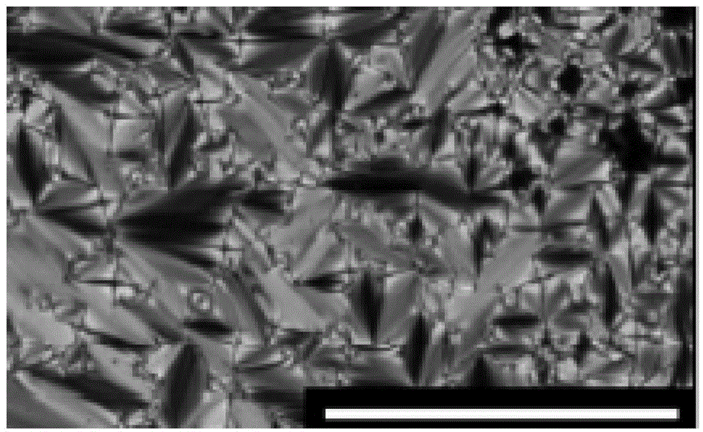 Benzoxazine resin containing Schiff base structure benzoxazine monomer and preparation thereof