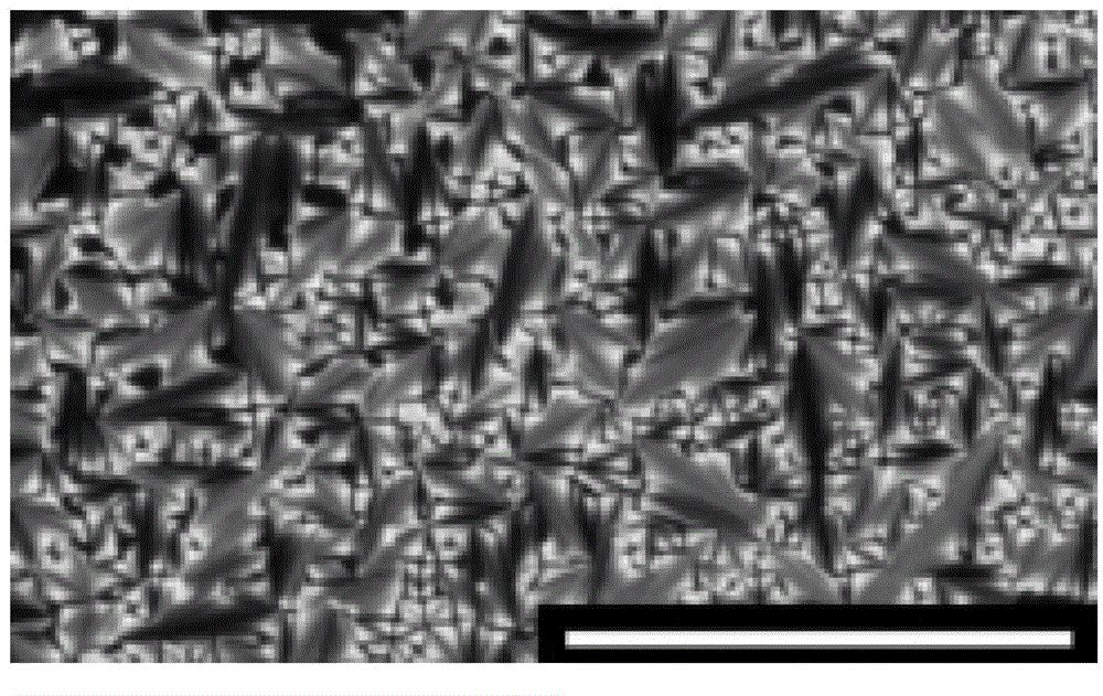 Benzoxazine resin containing Schiff base structure benzoxazine monomer and preparation thereof