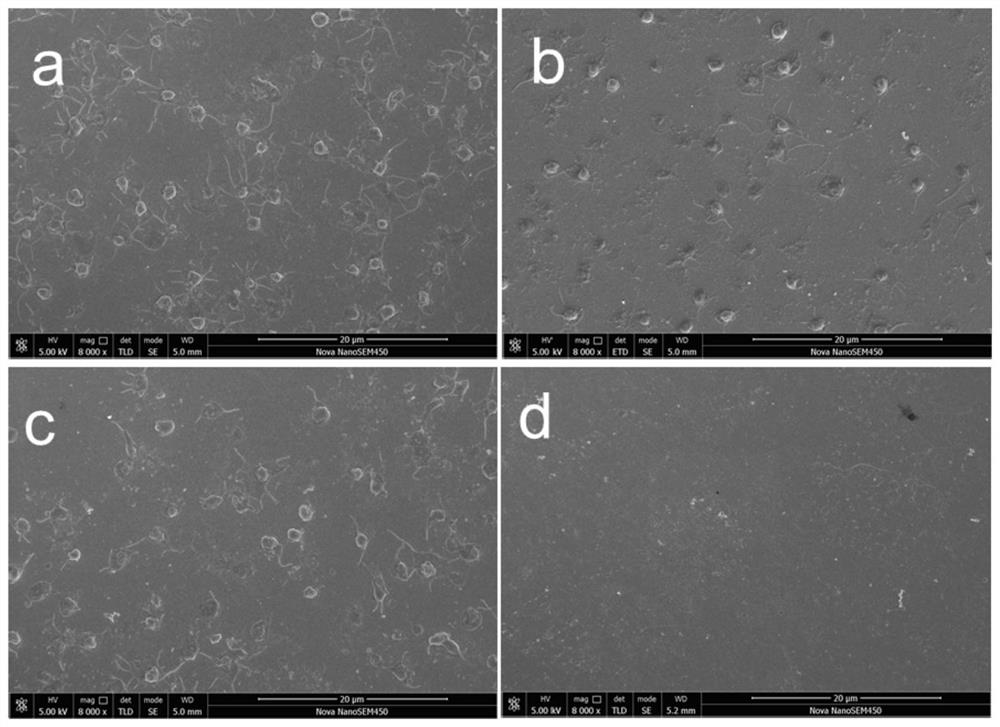 Hydrophilic lubricating anticoagulant hydrogel film as well as preparation method and application thereof