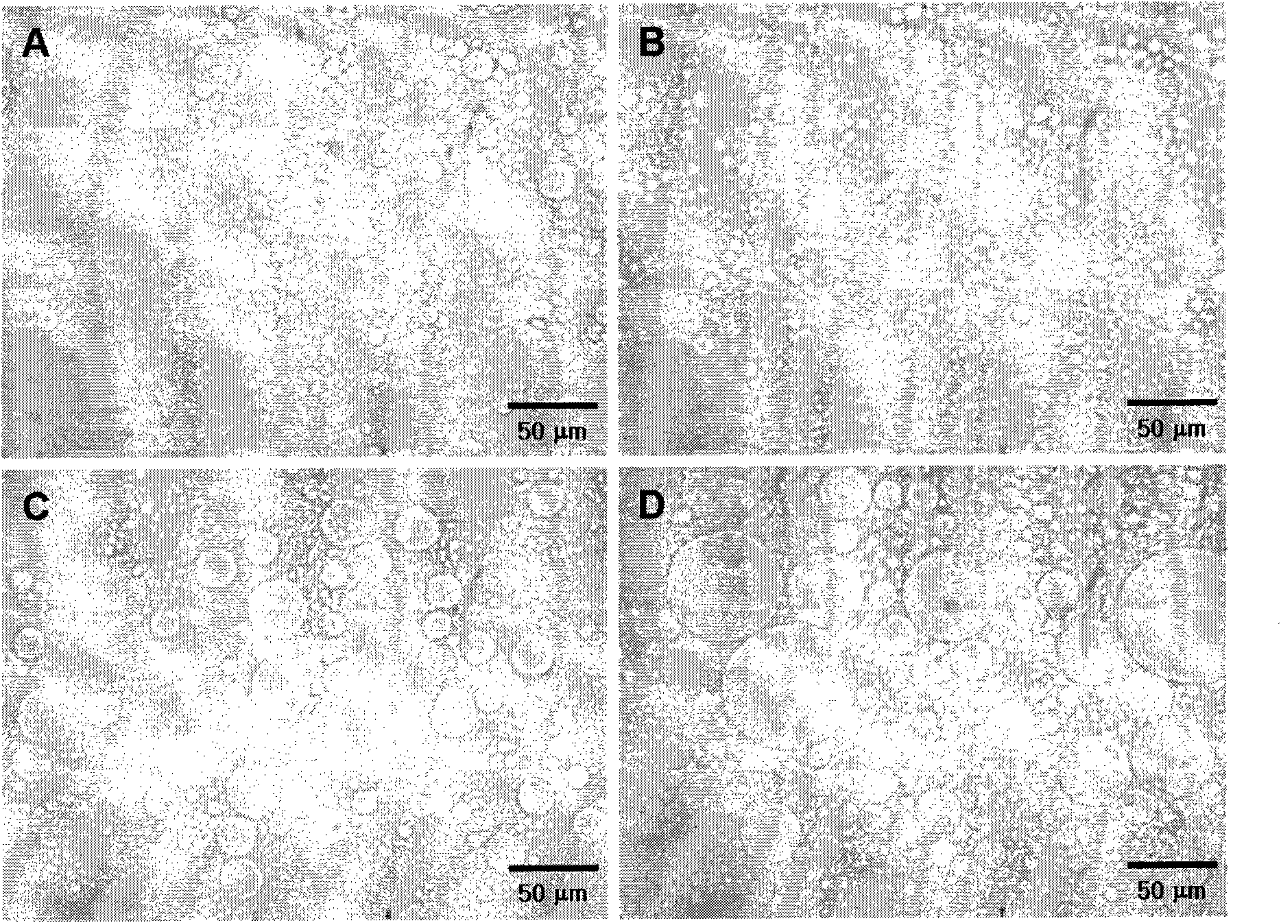 Chemically cross-linked hyaluronic acid hydrogel nanoparticles and the method for preparing thereof