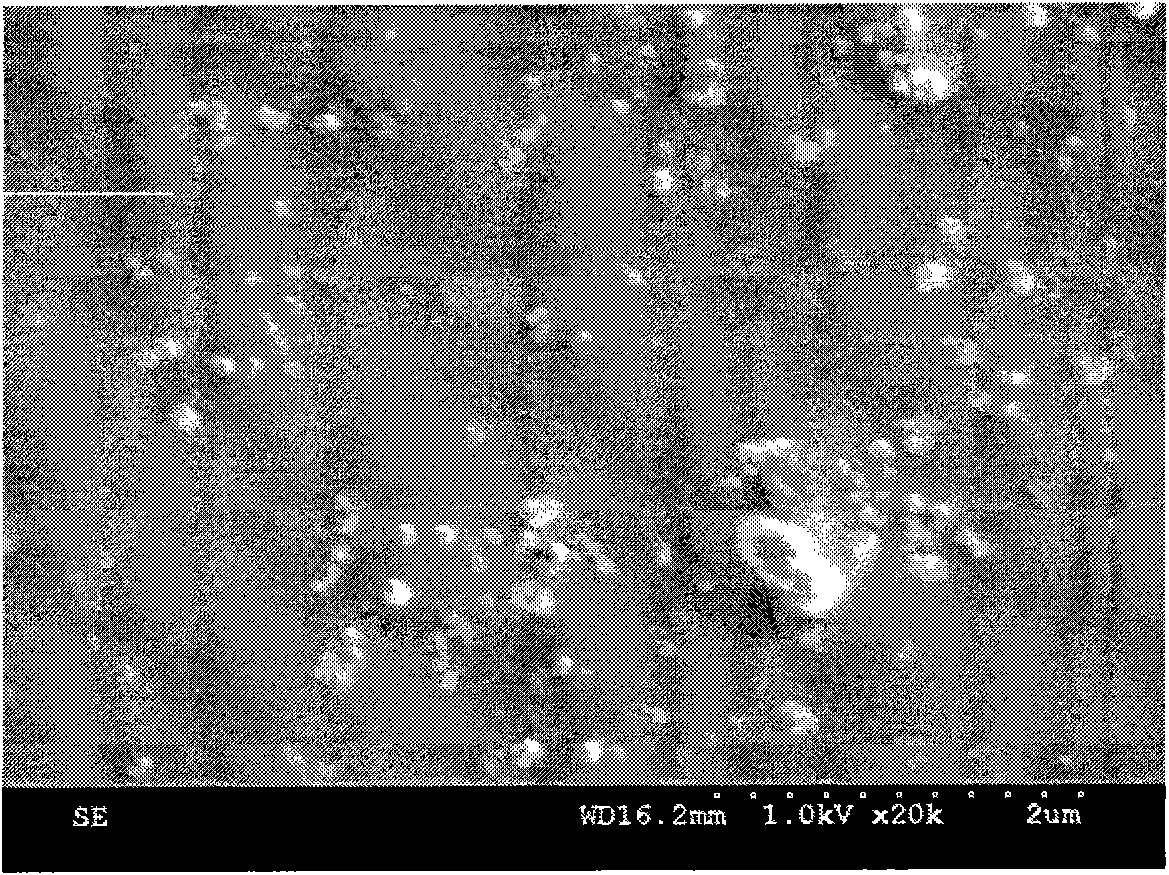 Chemically cross-linked hyaluronic acid hydrogel nanoparticles and the method for preparing thereof