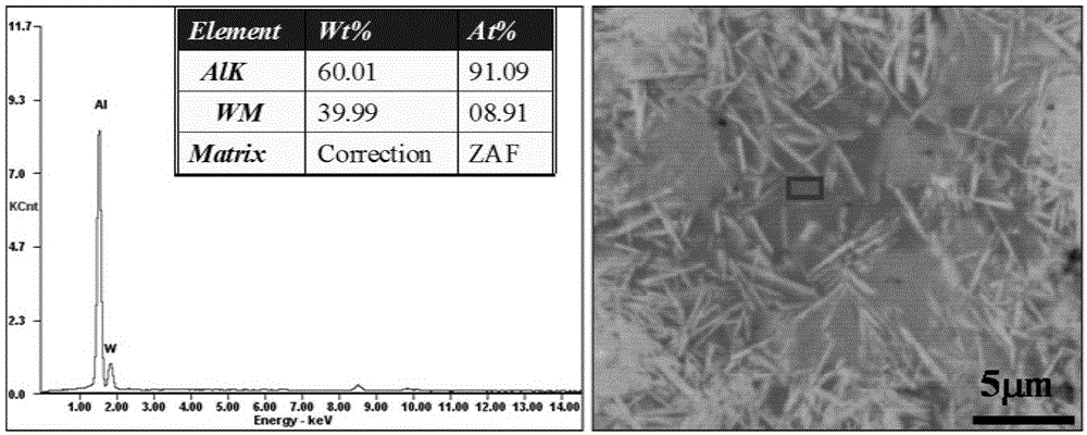 Surface modification method of tungsten and aluminum composite material