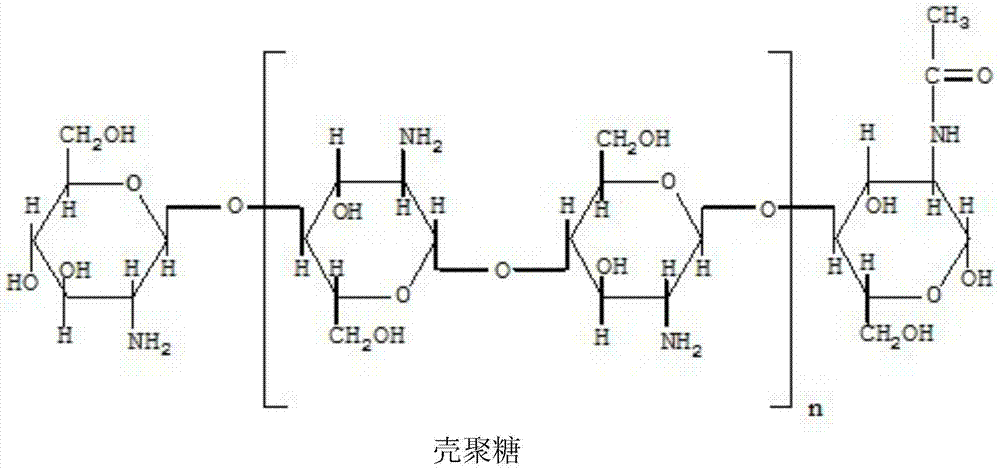 Bromhexine hydrochloride composition freeze-dried powder for injection