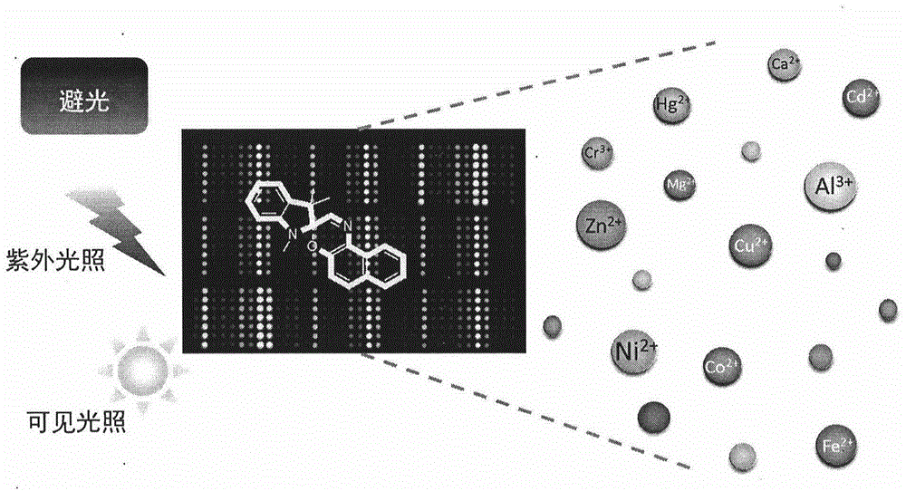 Photochromic dynamic multi-substrate detection microchip and polymorphism analysis method