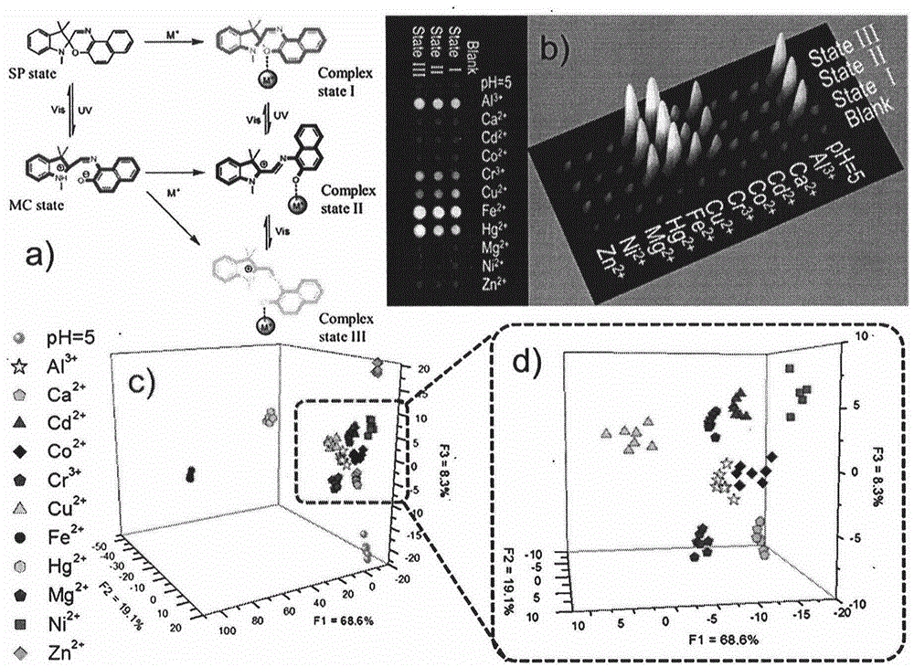 Photochromic dynamic multi-substrate detection microchip and polymorphism analysis method