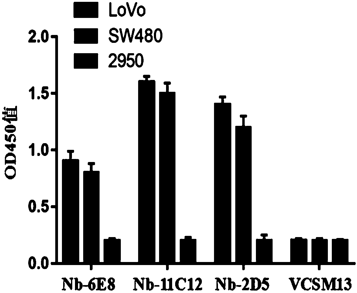 Fusion protein of nano antibody and pseudomonas aeruginosa exotoxin and application