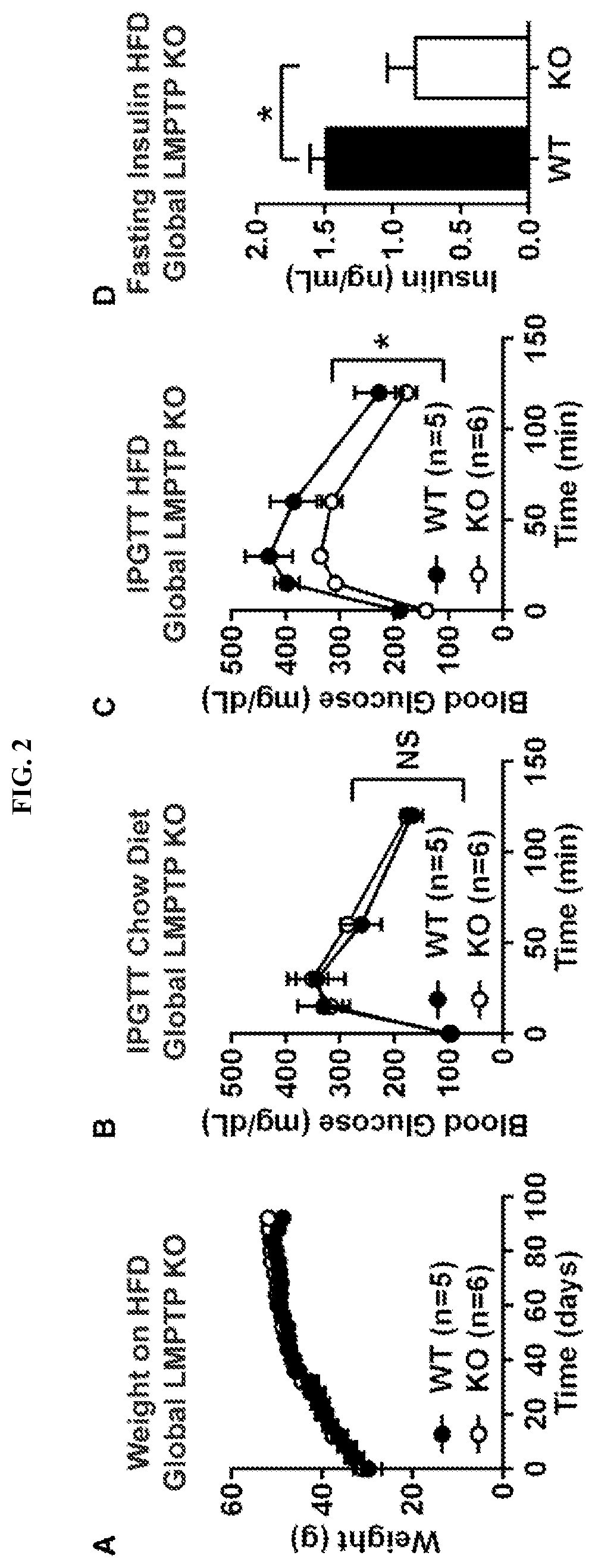 Inhibitors of low molecular weight protein tyrosine phosphatase and uses thereof