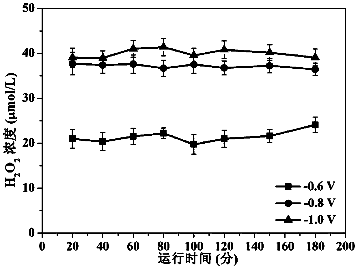 Preparation method of porous carbon-carbon nanotube hollow fiber membrane capable of generating hydroxyl radicals under electrochemical strengthening effect