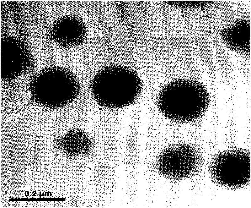 Saussurea involucrate nano particles and preparation method and application thereof