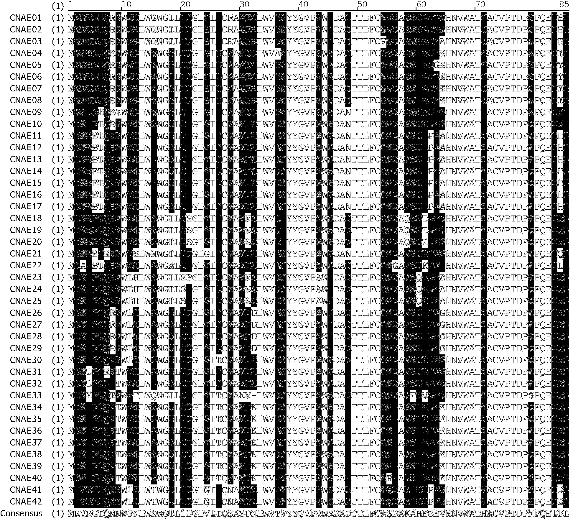 Modification of HIV-1 (Human immunodeficiency virus type one) Chinese epidemic strain CRF01_AE env gene