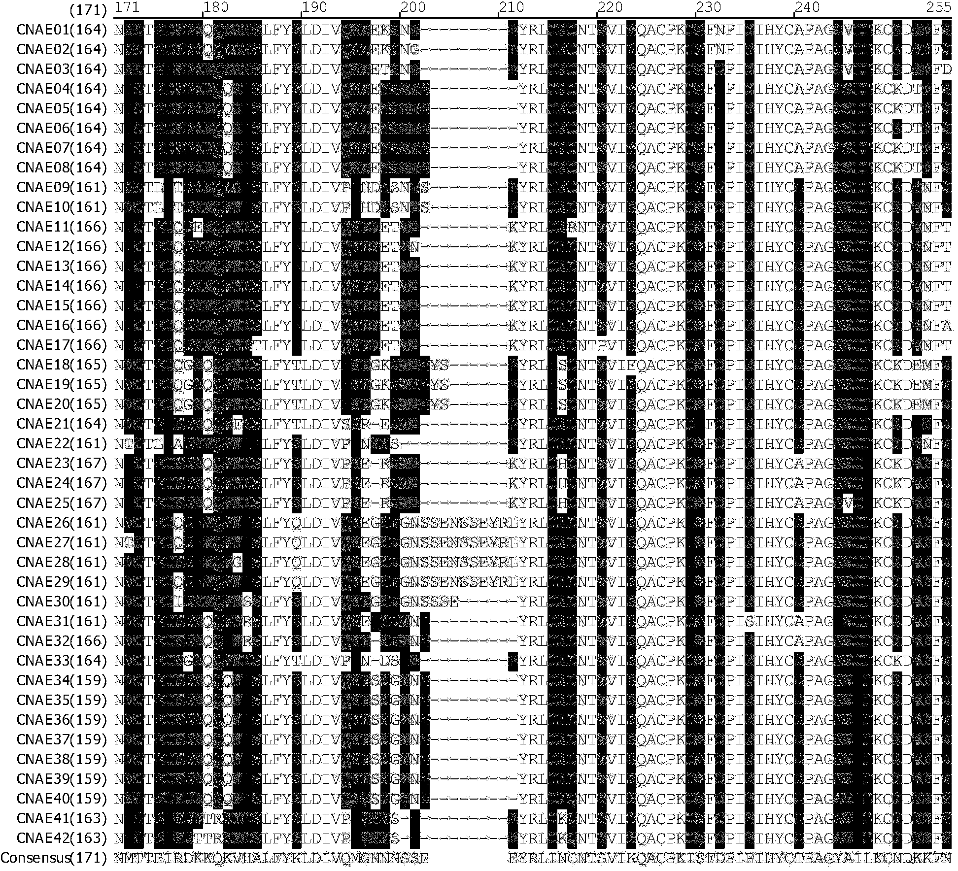 Modification of HIV-1 (Human immunodeficiency virus type one) Chinese epidemic strain CRF01_AE env gene