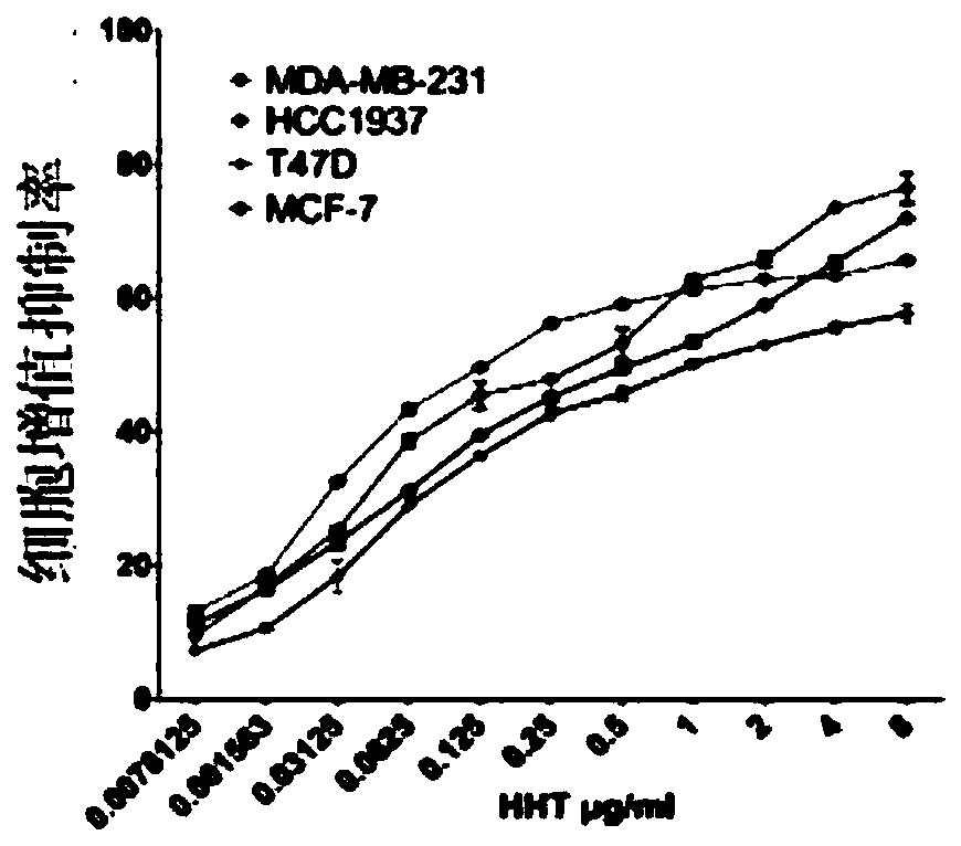 Application of homoharringtonine in treatment of breast tumors