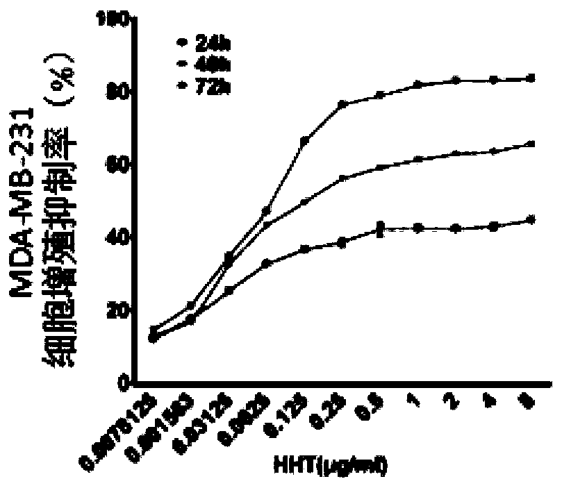 Application of homoharringtonine in treatment of breast tumors