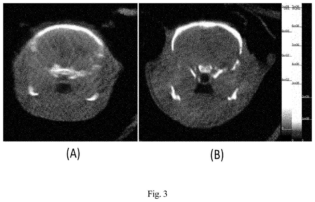 Microtubule-associated protein Tau imaging compounds for Alzheimer's disease and precursors thereof