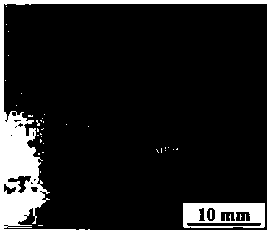 A method for preparing in-situ three-dimensional continuous reinforced al-based composites