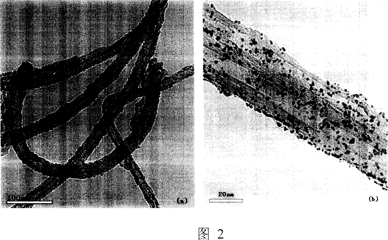 Carbon supported noble metal catalyst and method for preparing same