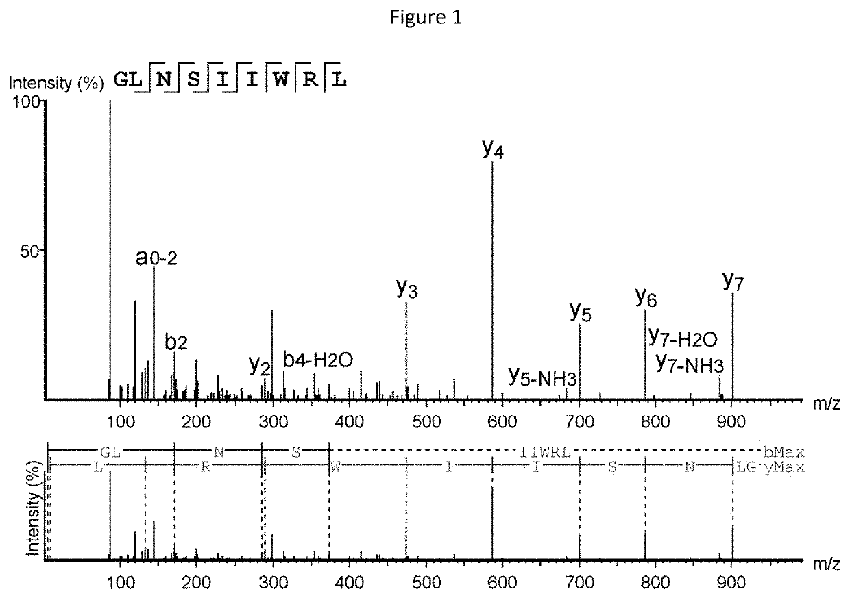 Novel cancer antigens and methods