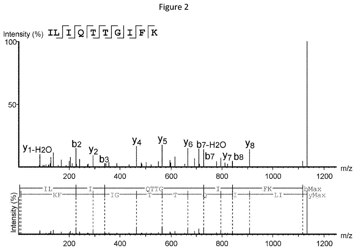 Novel cancer antigens and methods