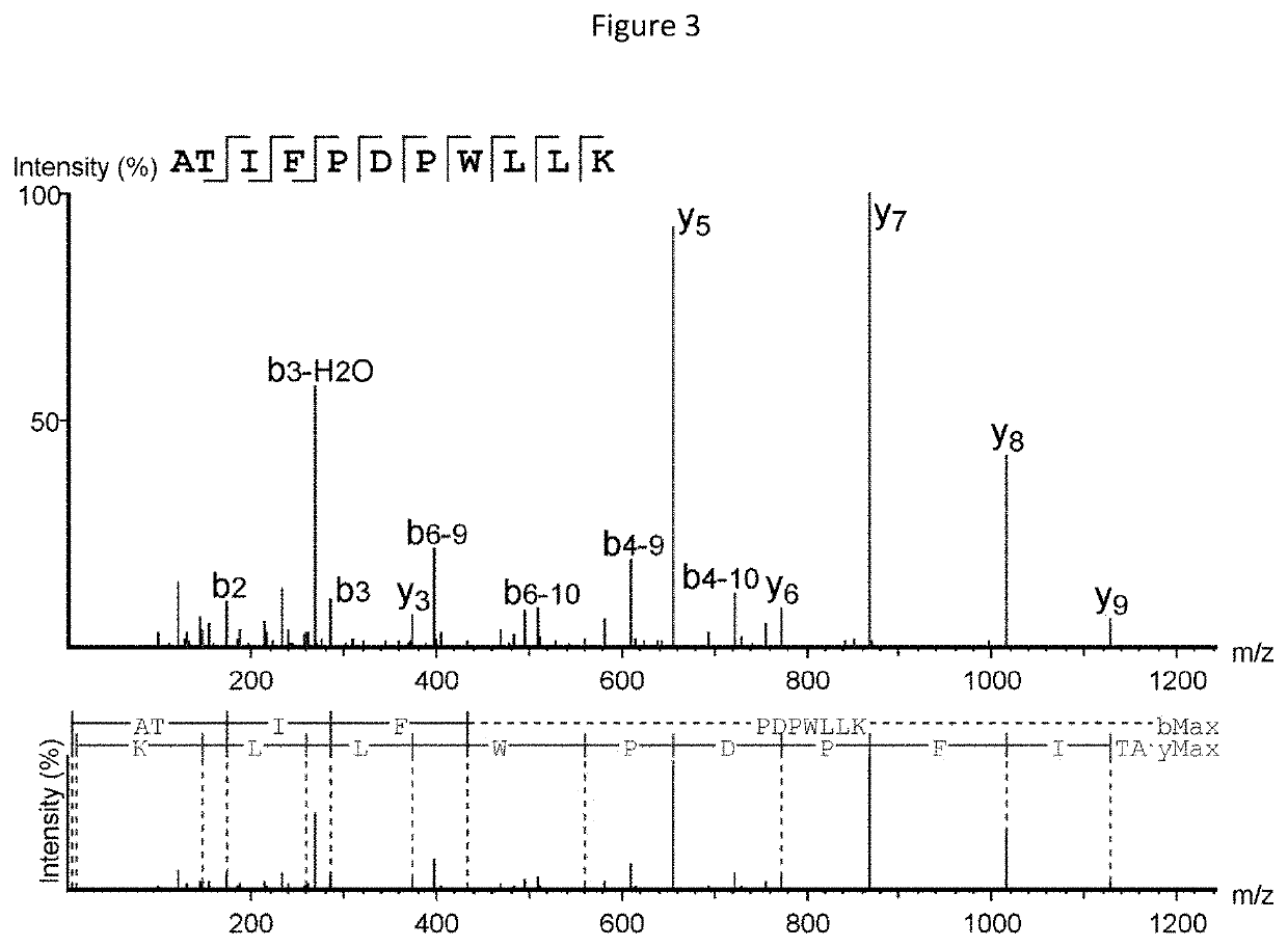 Novel cancer antigens and methods