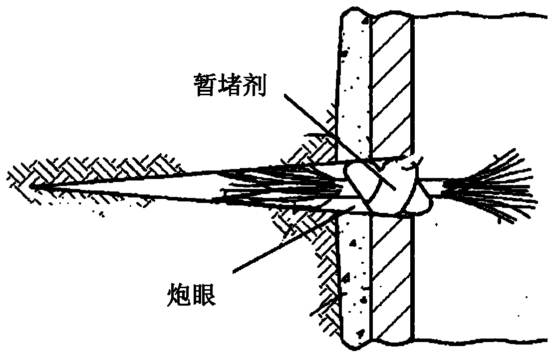 Temporary plugging agent with tassel-shaped two ends as well as preparation method and application thereof