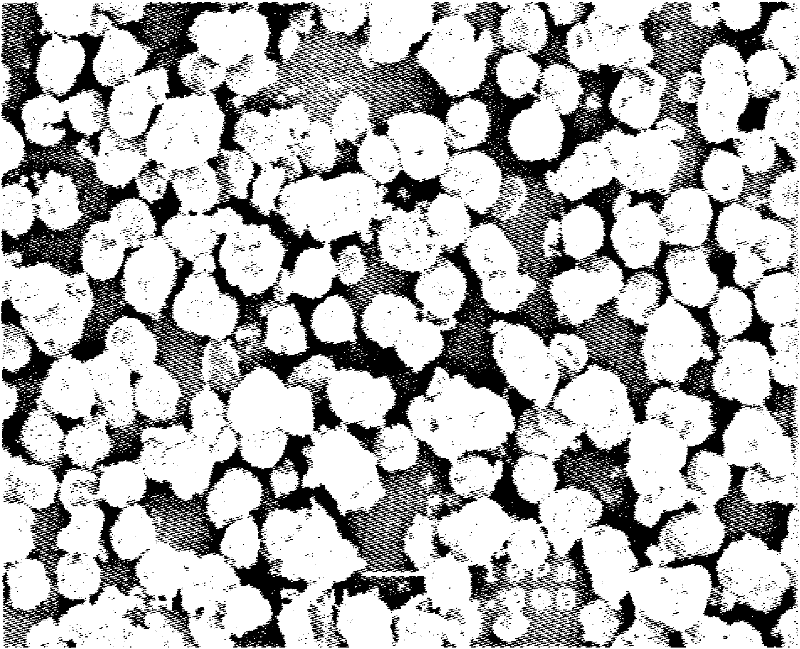 Method for producing polymer fine particle