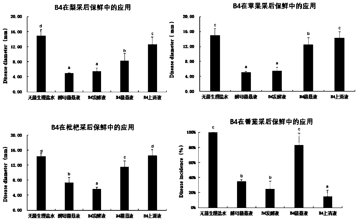 A kind of bacillus amyloliquefaciens bacterial strain and its application for biocontrol