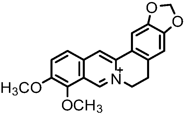 A kind of berberine nanocomposite and preparation method thereof