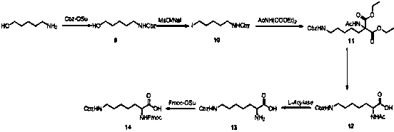 Synthesis method of double different protected amino acids