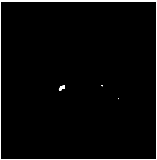 Method for obtaining distant hybridization offspring of common head cabbage and cabbage type rape