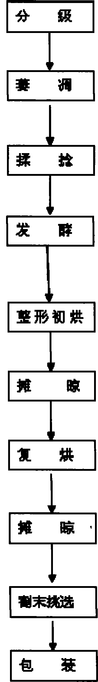 Process flow for preparing black tea