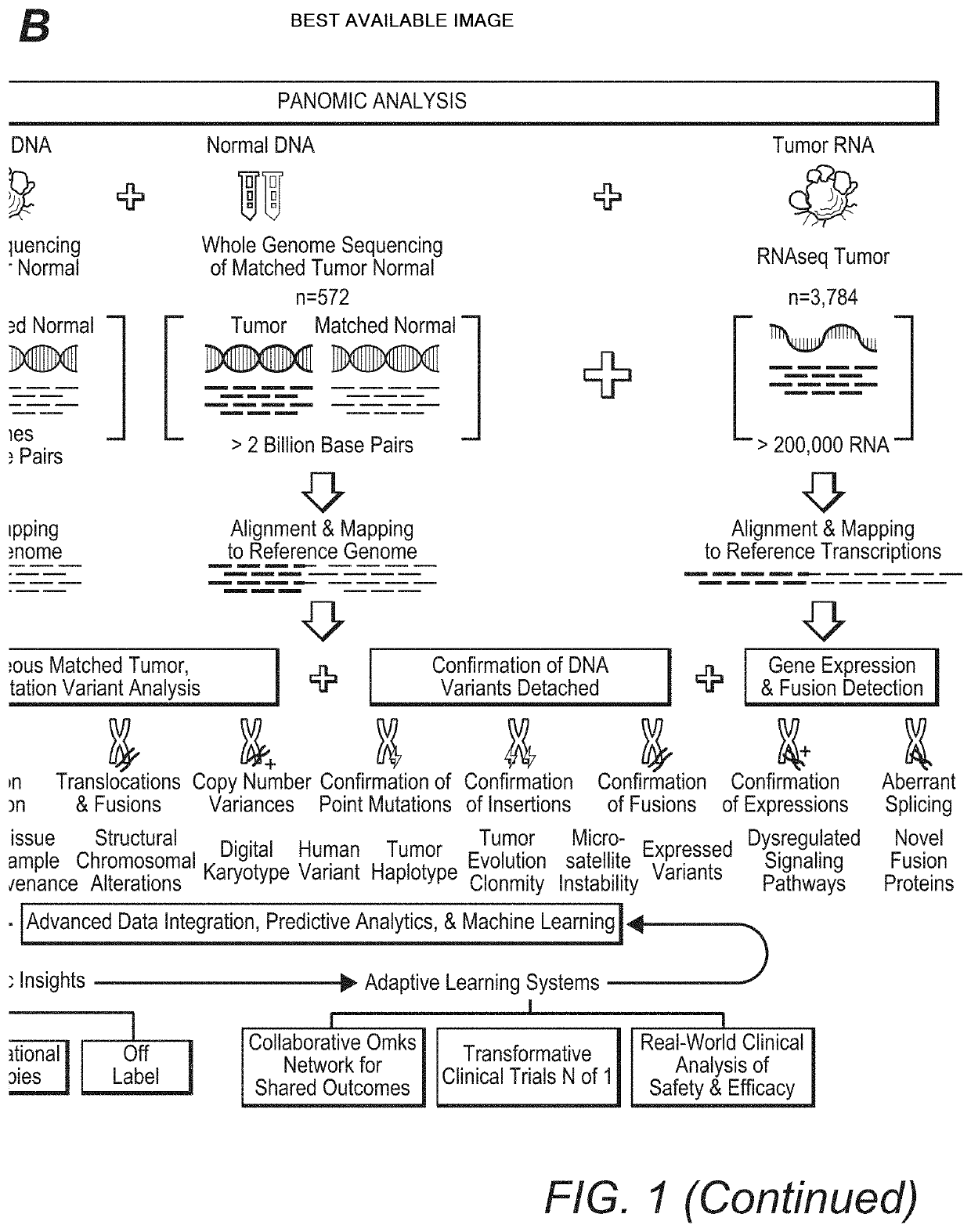 High Throughput Patient Genomic Sequencing and Clinical Reporting Systems