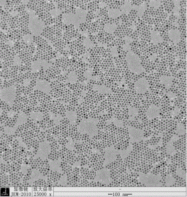 Method for preparing cadmium compound quantum dot fluorescent thin film