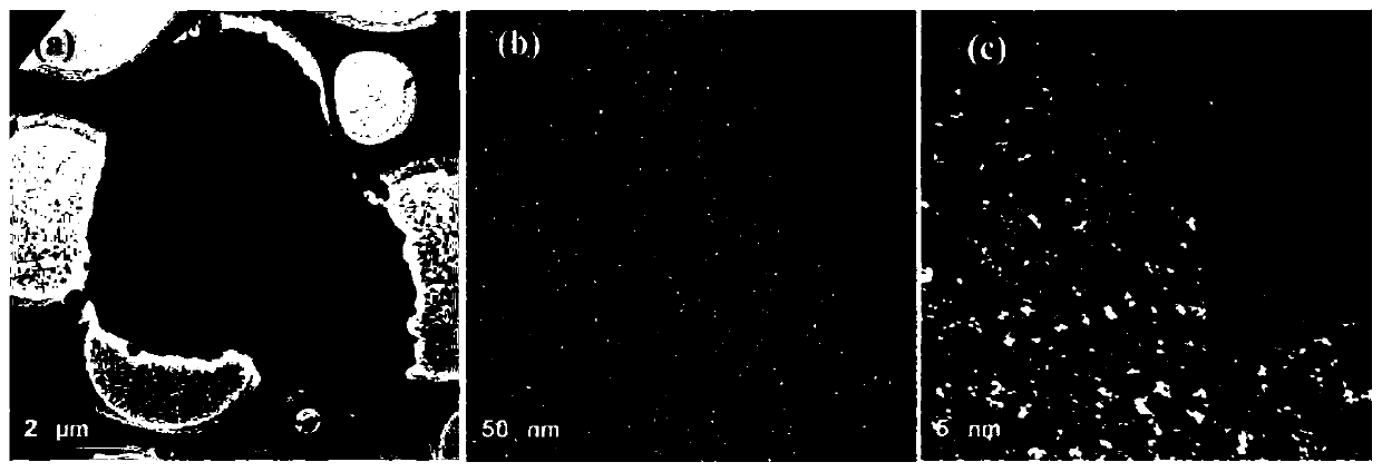 Preparation method of phytic acid and KH550 modified biomass derived porous carbon nanosheets