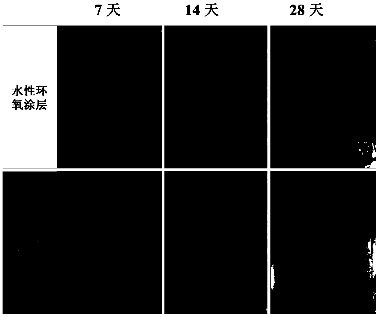 Preparation method of phytic acid and KH550 modified biomass derived porous carbon nanosheets