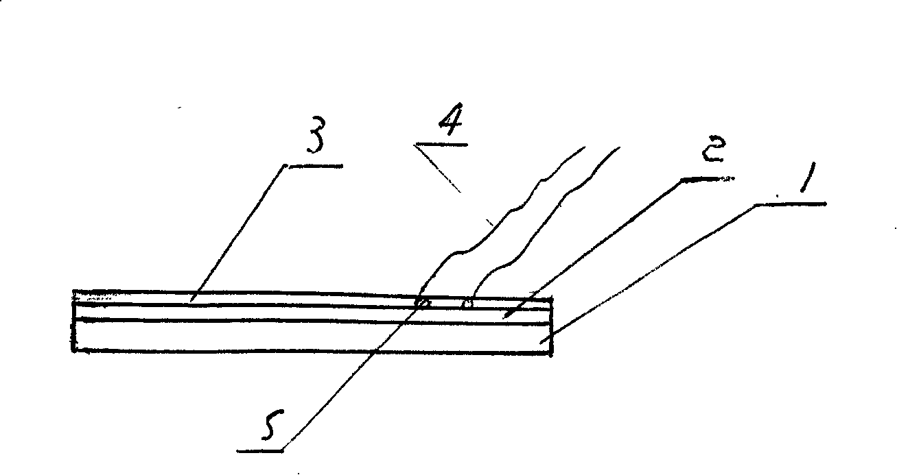 Plaster for anesthesia and preparation method thereof