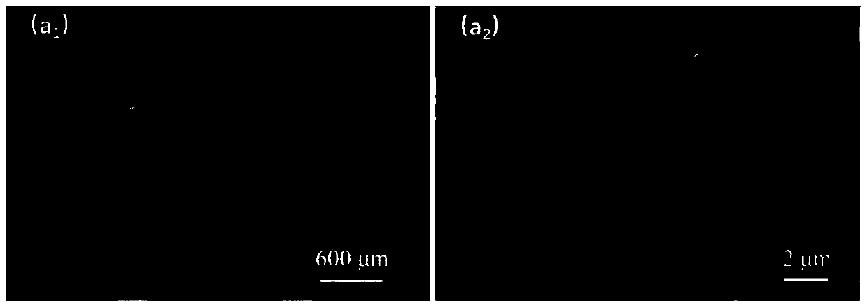 Application of basalt fiber fabric in photothermal conversion