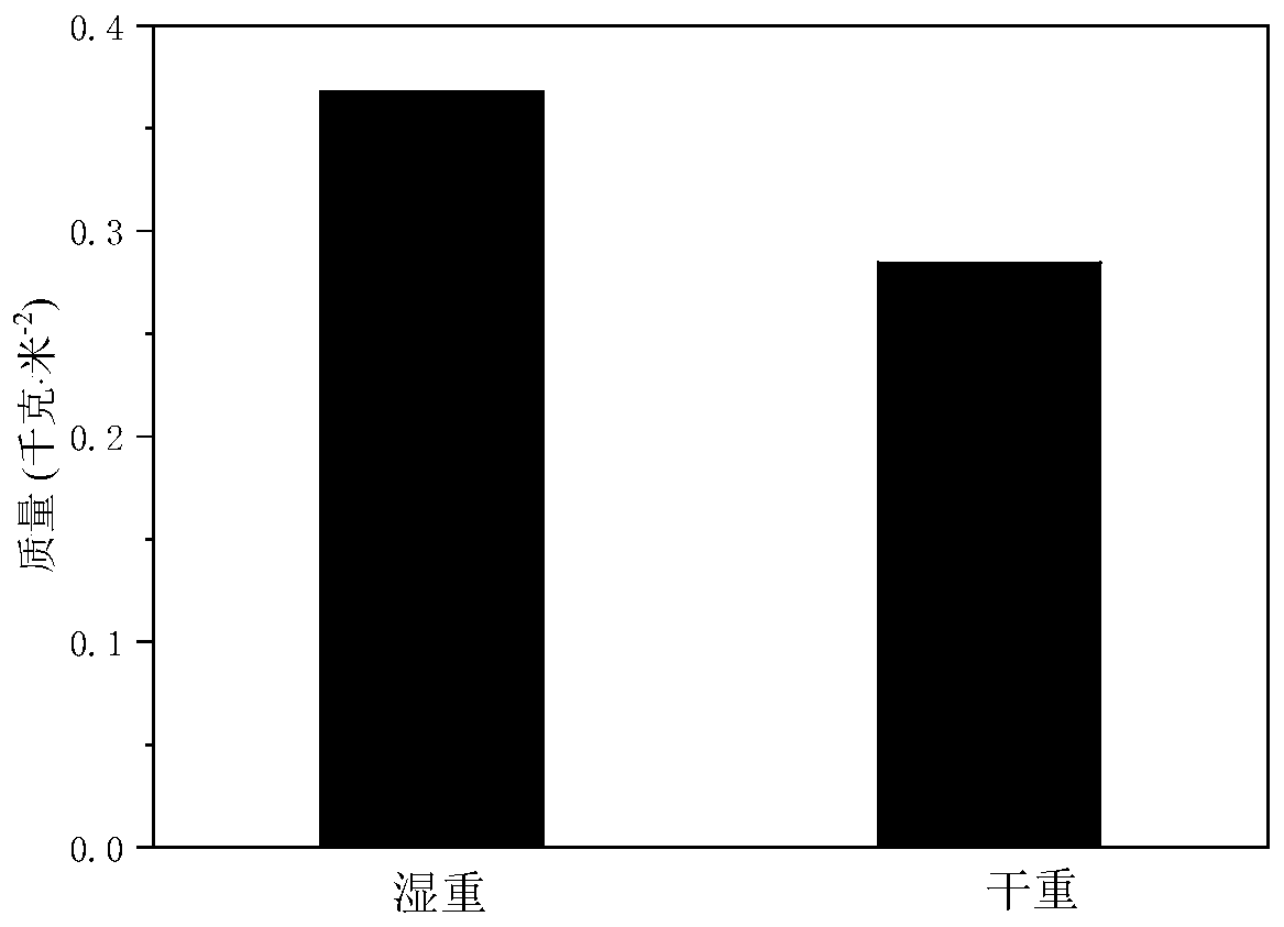 Application of basalt fiber fabric in photothermal conversion