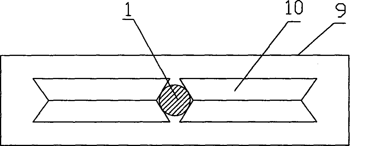 Injury-causing device for experimental investigation of deceleration injury and method for producing deceleration injury model