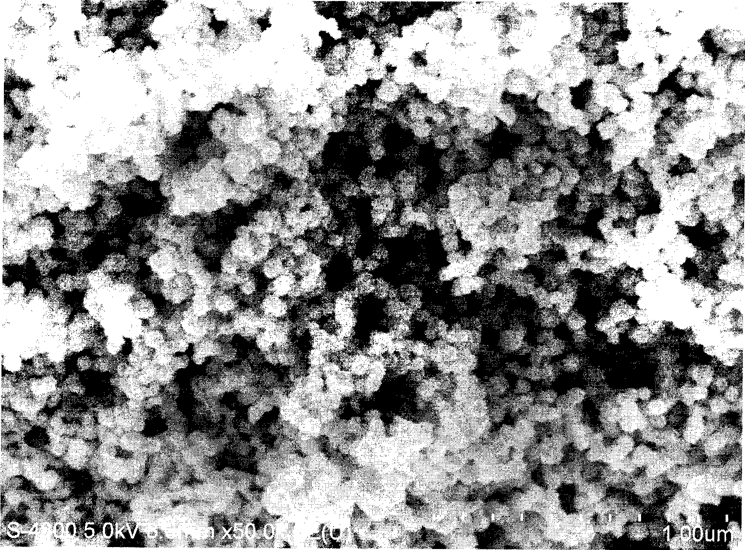 Method for preparing nano complex particle for highly conductive and magnetic electro-magnetic screen