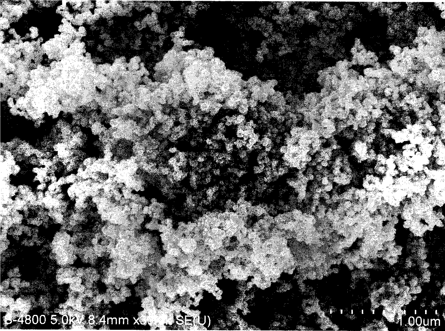 Method for preparing nano complex particle for highly conductive and magnetic electro-magnetic screen