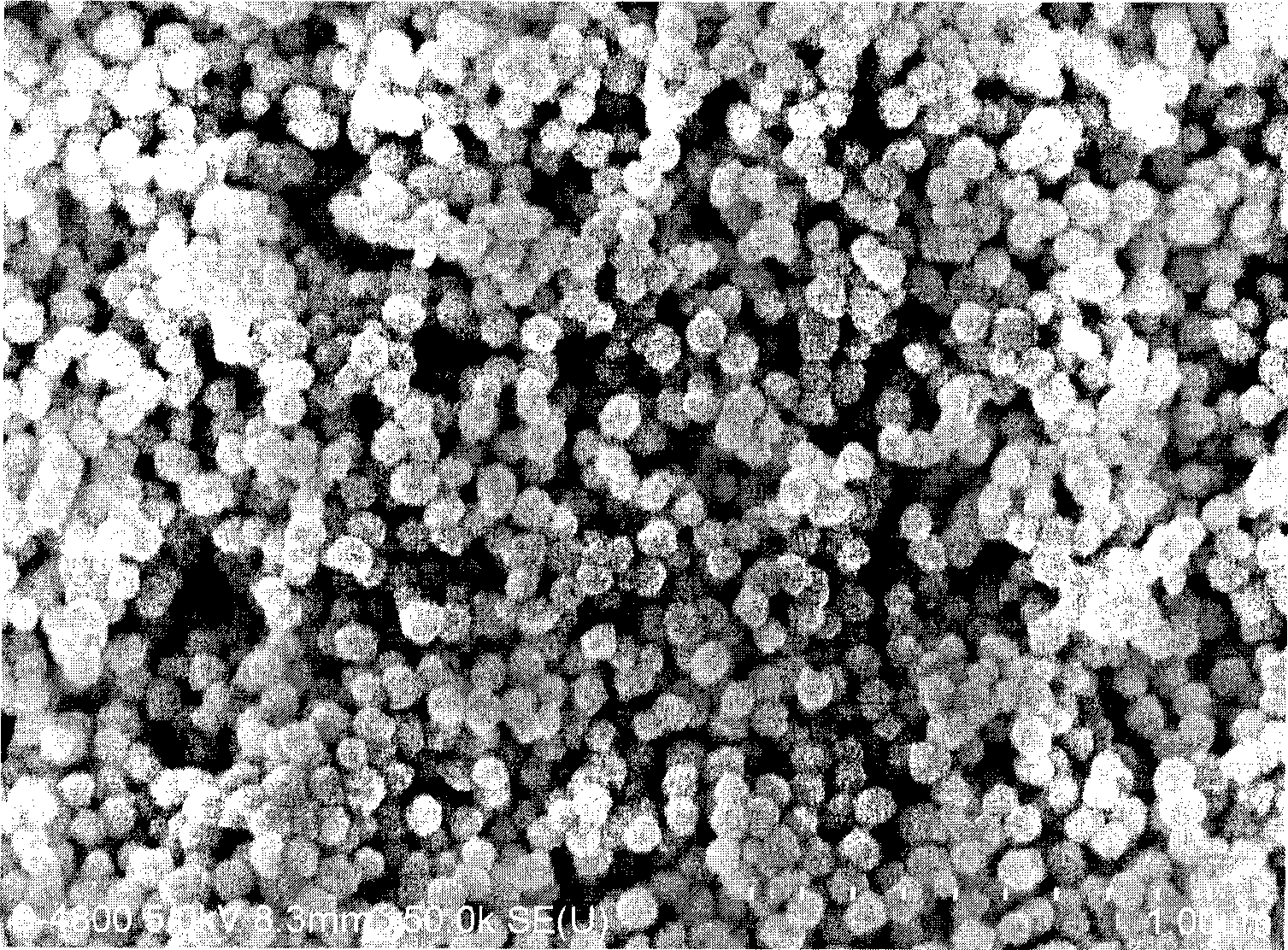 Method for preparing nano complex particle for highly conductive and magnetic electro-magnetic screen