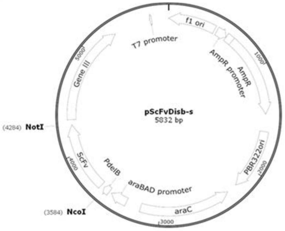 A kind of purification method of anti-IL-17RA monoclonal antibody