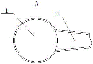 Insect specimen making device