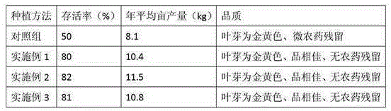 Planting method for golden sprout